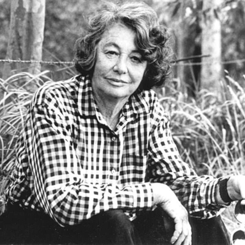 Thea astley first yaya image