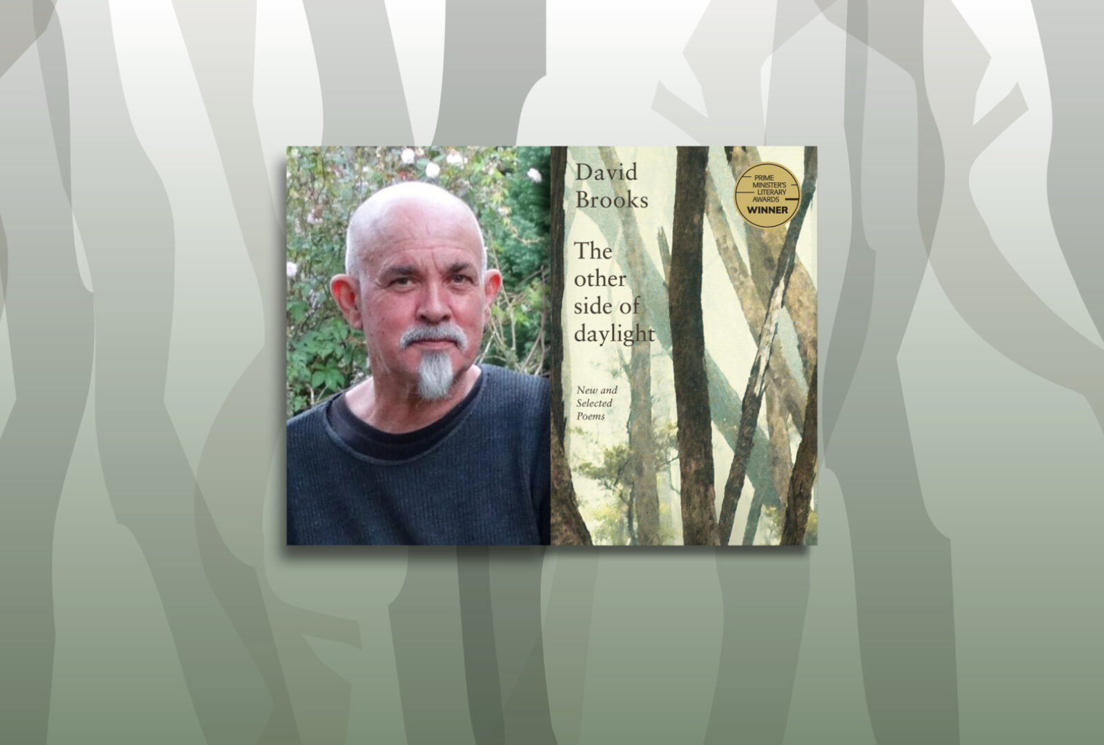 David Brooks wins the 2025 Patrick White Literary Award