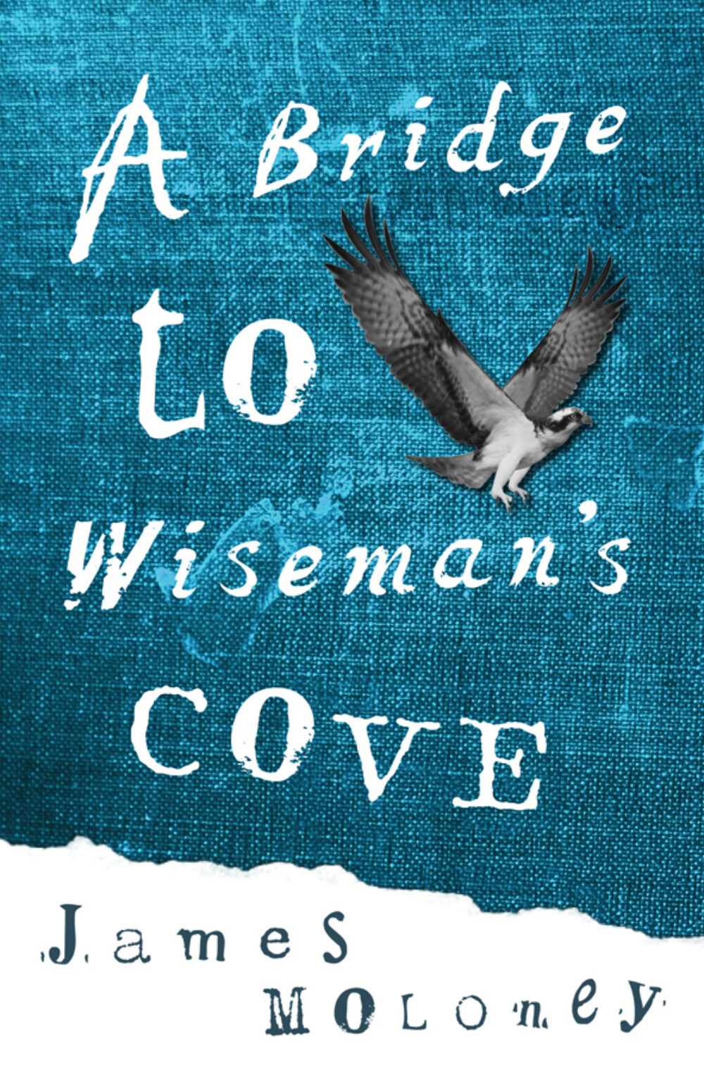 A Bridge To Wiseman’s Cove by James Moloney A Bridge To Wiseman’s Cove by James Moloney