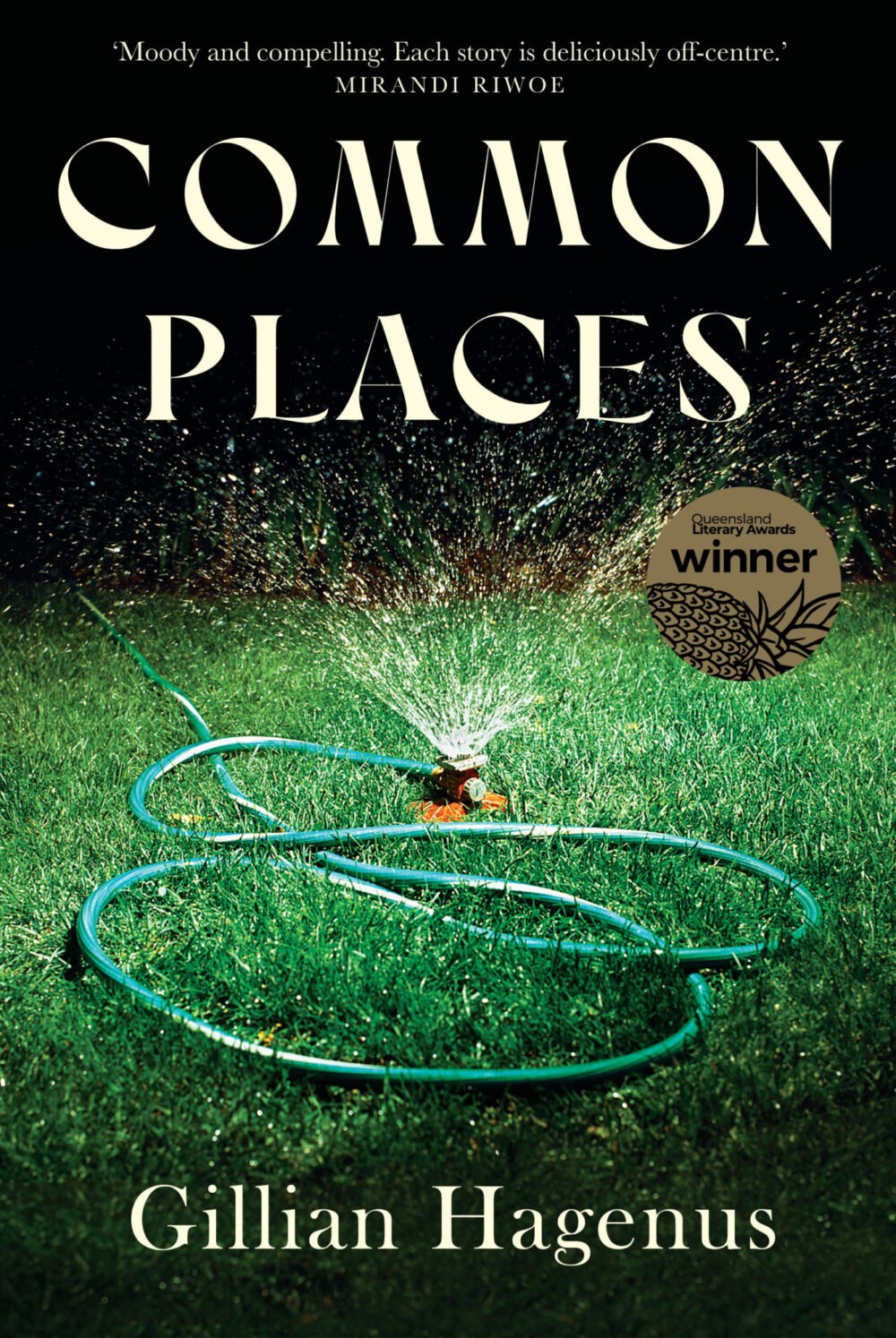 Common Places by Gillian Hagenus Common Places by Gillian Hagenus