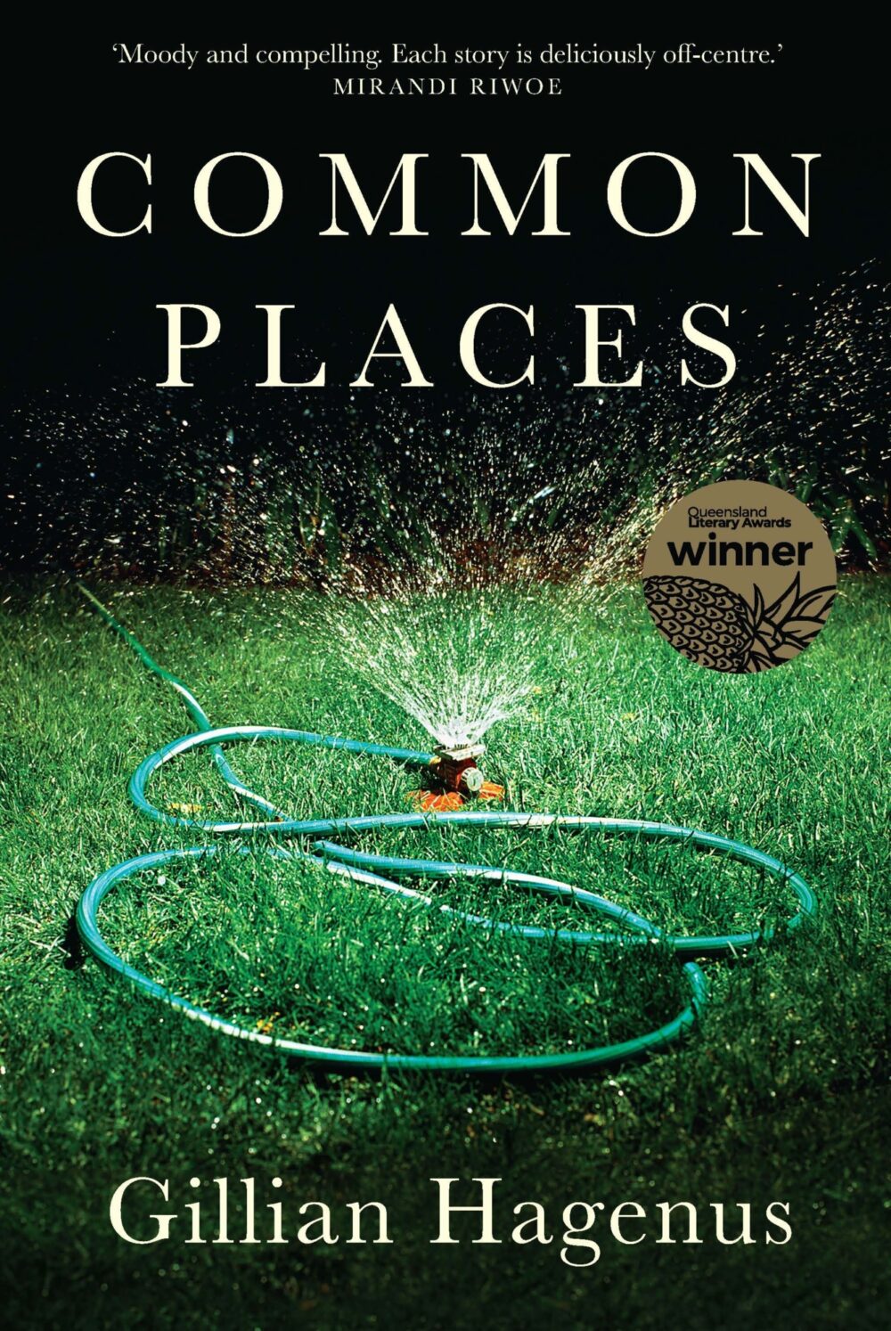 Common Places by Gillian Hagenus