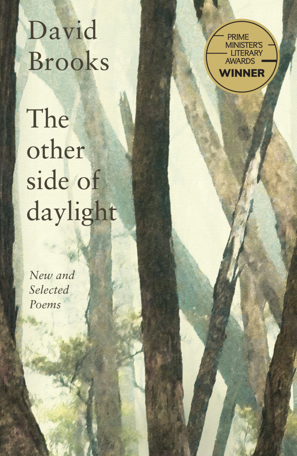 The Other Side of Daylight by David Brooks