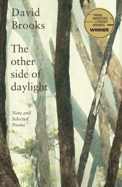 The Other Side of Daylight by David Brooks