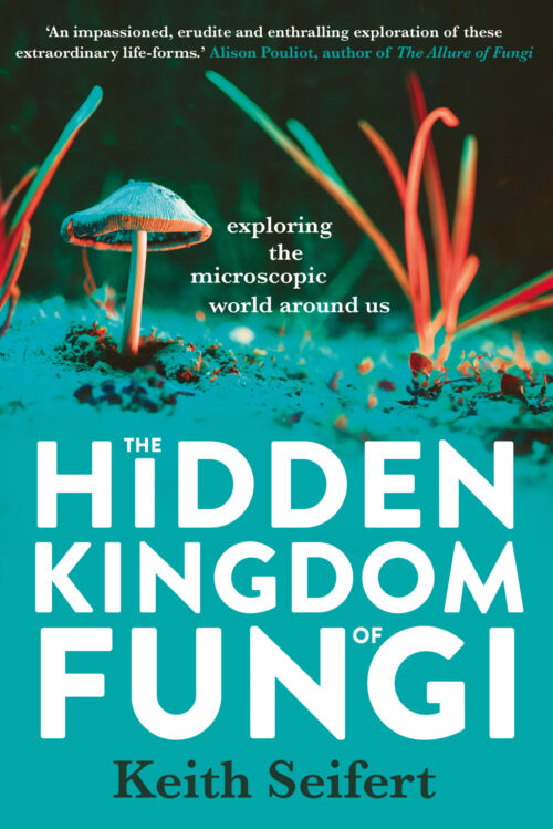 The Hidden Kingdom of Fungi: Exploring the microscopic world around us
