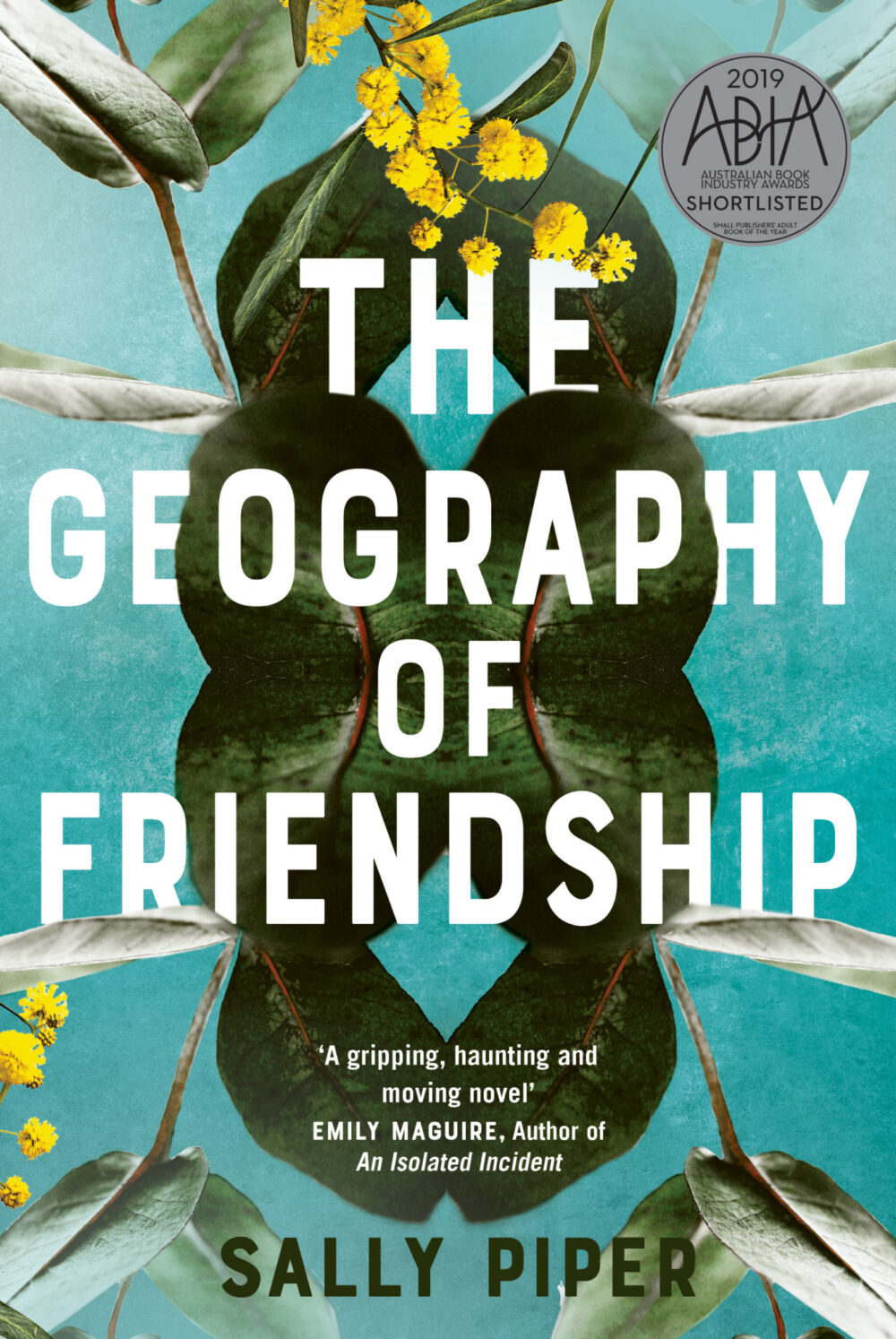 The Geography of Friendship by Sally Piper