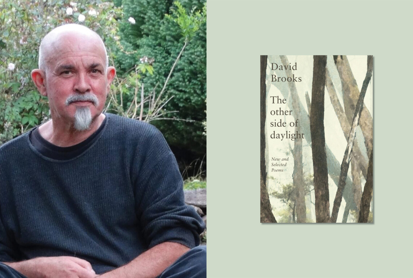 David Brooks Poetry Reding