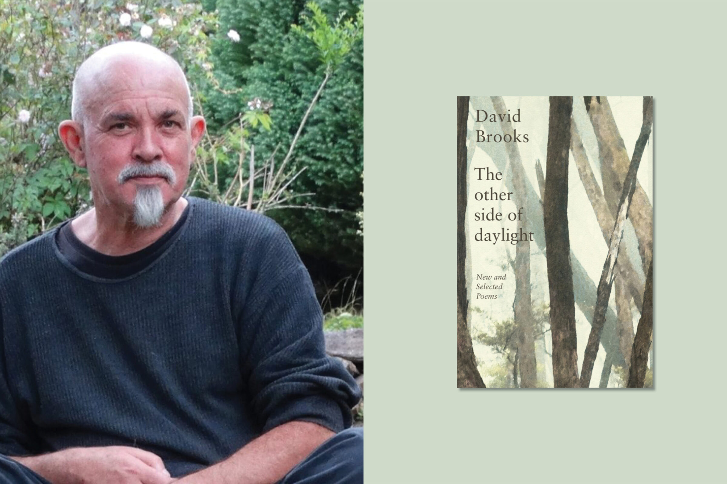 David Brooks and Deborah Dawkings Poetry Reading David Brooks and Deborah Dawkings Poetry Reading